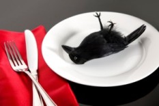 eating-crow